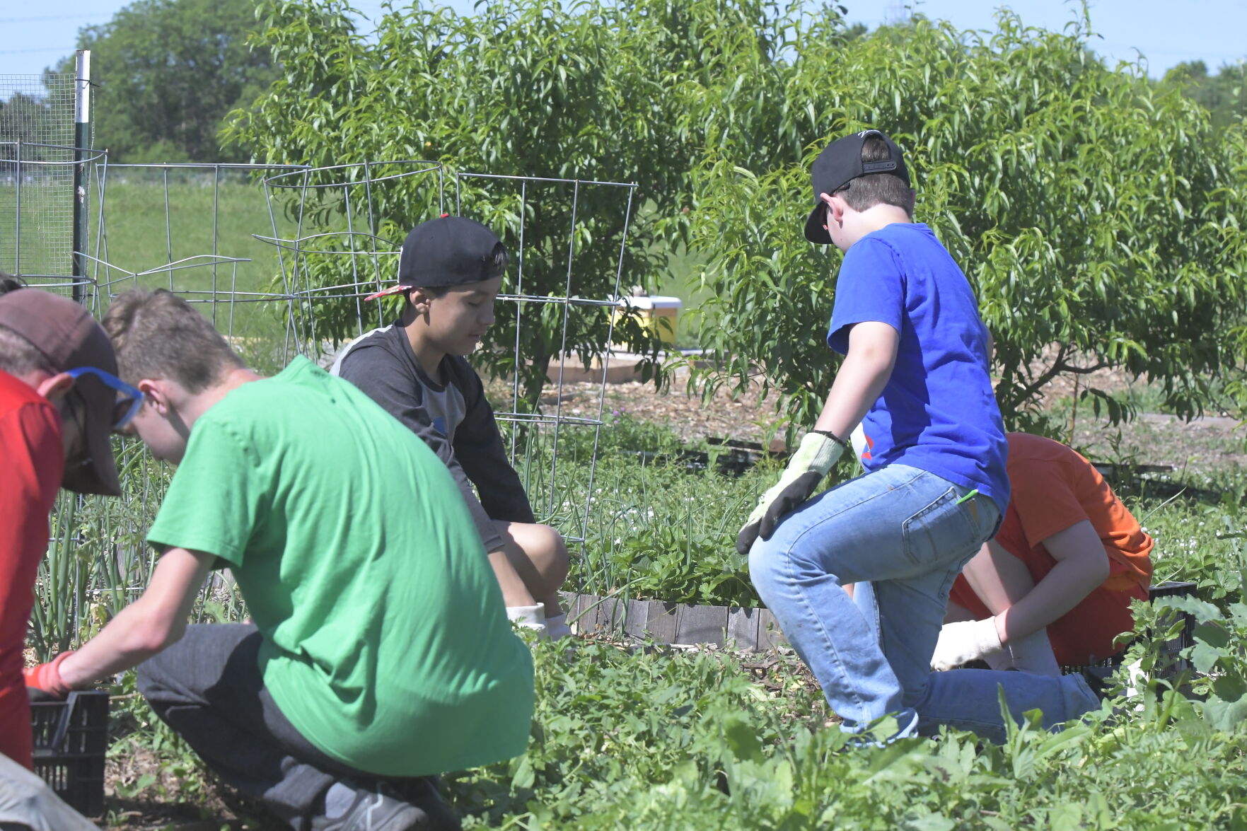 Sunnyside Community Garden and Food Forest